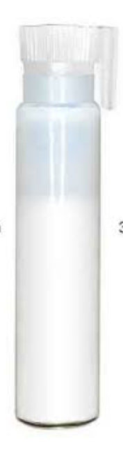Lash Glue